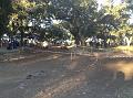 20120108_pegoes_byCarlosRijo 16